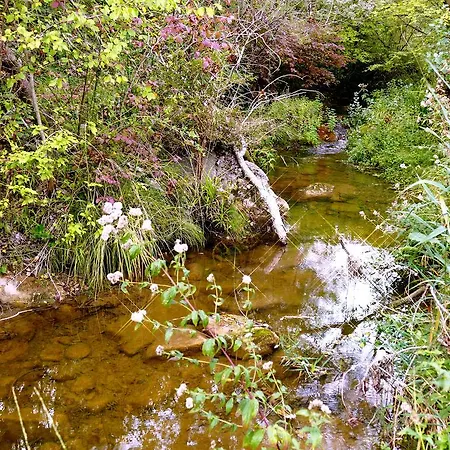 Domaine Des Pins