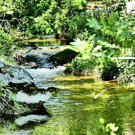 Domaine Des Pins Bed & Breakfast Ladern-sur-Lauquet