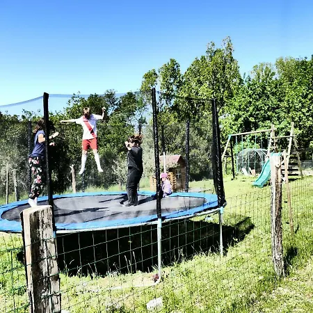 Domaine Des Pins