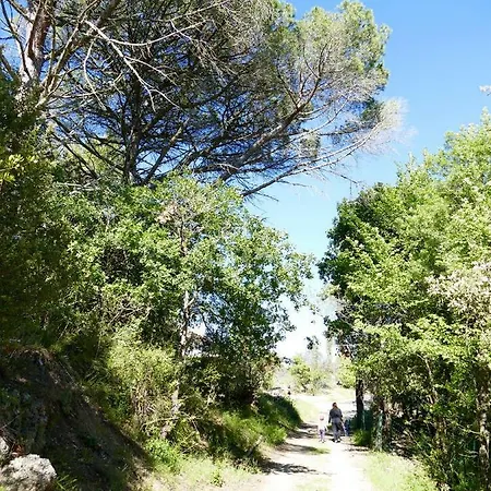Domaine Des Pins Ladern-sur-Lauquet